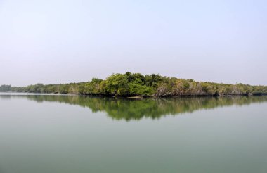 Sundarbans, Hindistan ve Bangladeş boyunca yaklaşık 10.200 kilometrekarelik bir alana sahip gel-git ormanı deltasıdır. Bu fotoğraf Bangladeş 'ten çekildi..