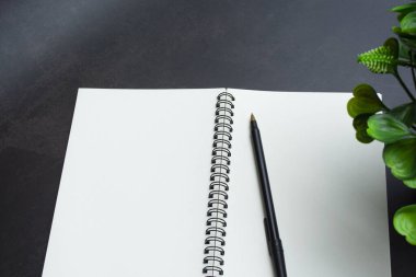 Kalem, not defteri ve bitkiyle dolu ofis masasının tam üstünde. Düz yatıyordu. Boşluğu kopyala.