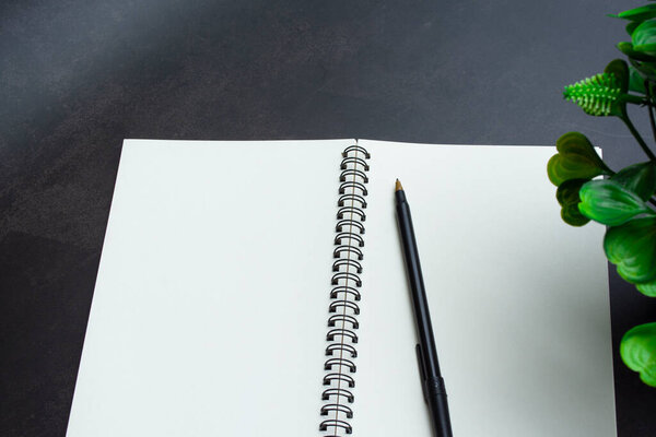 Directly above view of office desk table with pen, notepad and plant. Flat lay. Copy space.