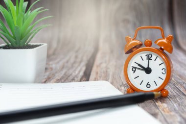 Üzerinde saksı bitkisi ve çalar saat olan not defteri ahşap arka planda 10 kilitlenmiş. İş konsepti. Boşluğu kopyala.