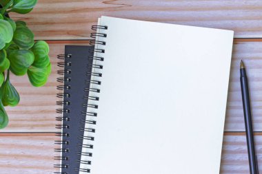 Tahta masanın üzerinde kalem ve saksı bitkisi olan not defterinin tam üstünde. Düz yatıyordu. Boşluğu kopyala.