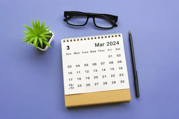 Stock image March 2024 desk calendar with potted plant, pen and reading glasses on blue background.