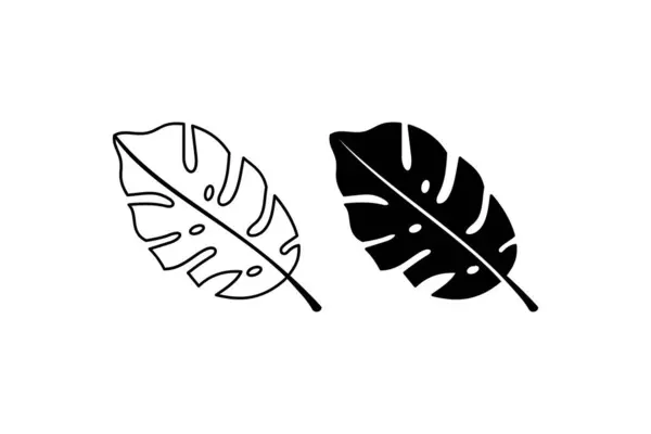 Monstera Yaprak Taslak ve Siluet simgesi seti