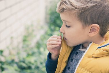 Cute little boy smelling violet flower.