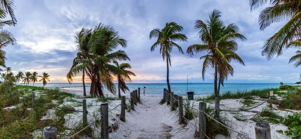 キーウェスト フロリダ州 アメリカのヤシの木があるビーチでのカラフルな日の出 — ストック写真