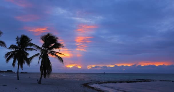 Nascer Sol Praia Key West Flórida Eua — Vídeo de Stock