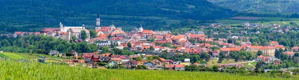 Levoca Slovakya Nın Preshov Bölgesinde Bir Kasabadır Kasabanın Tarihi Bir — Stok fotoğraf