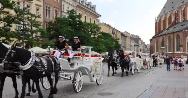 Cracovia Polonia Giugno 2023 Equitazione Sulla Piazza Centrale Cracovia — Video Stock