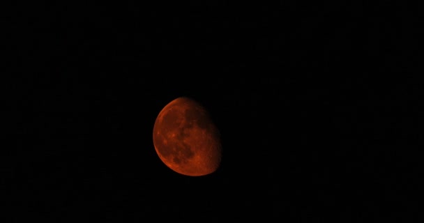 Lune Rouge Lève Vers Ciel Sombre Laps Temps — Video