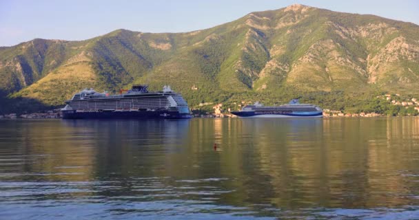 Kotor Czarnogóra Września 2023 Statek Wycieczkowy Przypływa Zatoki Kotorskiej Wschodzie — Wideo stockowe