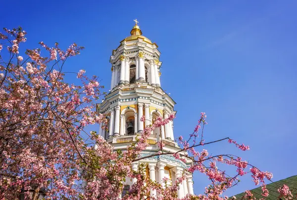 Fiore Sakura Rosa Nella Parte Anteriore Del Campanile Kiev Pechersk Immagine Stock