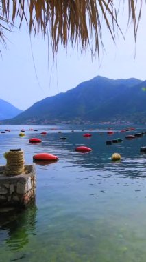 Oysters farm near town of Kotor Montenegro vertical video