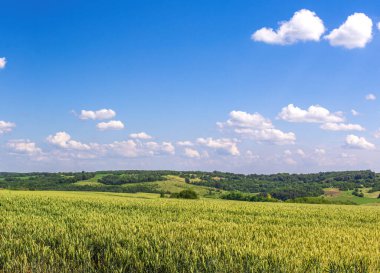 Günbatımından önce Ukrayna 'nın yeşil bir köyünde kümülüs bulutları