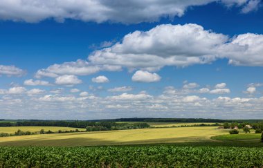 Günbatımından önce Ukrayna 'nın yeşil bir köyünde kümülüs bulutları