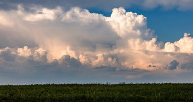 Günbatımından önce Ukrayna 'nın yeşil bir köyünde kümülüs bulutları