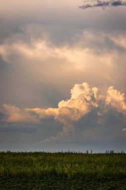 Günbatımından önce Ukrayna 'nın yeşil bir köyünde kümülüs bulutları