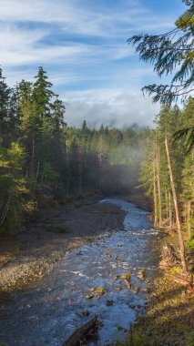 Duc Hot Springs Olympic Park, Washington 'da. Buharlı doğal havuzlar, yemyeşil orman, kayalar ve huzur dolu vahşi doğa ile çevrili. Sıcak su, Kuzeybatı Pasifik 'in manzaralı güzelliğiyle harmanlanır..