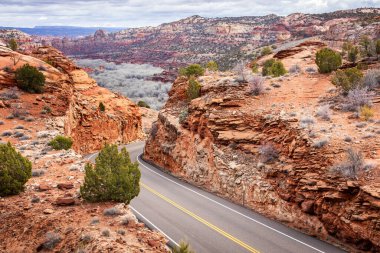 Utah 'ta keskin virajlar ve dik eğimlerle nefes kesen kayalık bir arazide dolambaçlı bir yol uzanıyor. Manzara, asfalt ve kumtaşı kayalıklarının kırmızımsı renkleri arasındaki zıtlığı ortaya koyuyor.