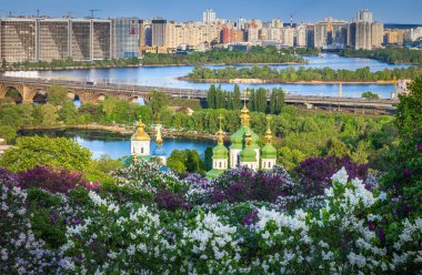 Kyiv 'in Hryshko Botanik Bahçesi' nde çiçek açan leylaklar Vydubychi Manastırı 'nın altın kubbelerini çevreledi..