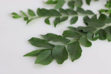 Köri yaprakları köri ağacının veya Murraya koenigii 'nin yapraklarıdır. Son derece aromatiktirler ve narenciyeli eşsiz bir tadı vardır. Bunlar tıbbi ve aşçılık uygulamaları için kullanılır..