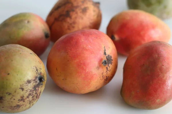 Apple Mango Eller Ataulfo Mango Bred Vifte Mango Fra Tropiske - Stock-foto
