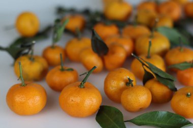 Bir demet Clementine meyvesi. Bu bir tangor. Söğüt yaprağı portakalı ile tatlı portakal arasında bir narenciye karışımı. Koyu turuncu bir rengi ve pürüzsüz, parlak bir görüntüsü var.