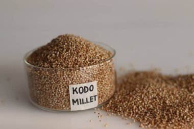 Sağlıklı bir tahıl olan Kodo Darı 'nın kapağı ağzına kadar dolu bir cam kasede sağIıklı ve besleyici cazibelerini vurguluyor. Gıda ve sağlıkla ilgili kavramlar için mükemmel.