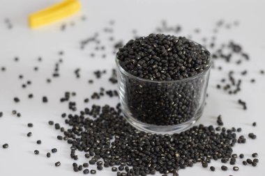 Siyah mercimek ya da urat dalıyla dolu bir cam kase, ayrıca siyah gram, Vigna mungo, urid ya da mungo fasulyesi olarak da bilinir. Sağlıklı, organik, yemek meraklıları için mükemmel. Beyaz arkaplanda çekilen.