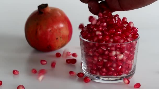 Lassan Töltő Piros Gyöngy Mint Aril Csillogó Gránátalma Gyümölcs Üvegtálba — Stock videók