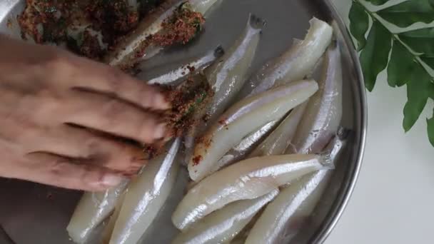 Маринування Свіжорізана Очищена Анчоусова Риба Представлена Сталевій Тарілці Разом Чилі — стокове відео
