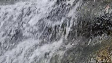 Suyun karmaşık dansının büyüleyici videosu bir dizi seviyede düşerken rahatlatıcı ve ritmik bir melodi yaratıyor. Şelaleden akan suyun yakın görüntüsü