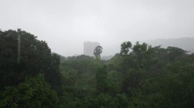 Mumbai, Hindistan, 25 Temmuz 2024: Şiddetli Mumbai muson yağmurları manzarayı bulanıklaştırıyor, yeşil çevresi görünür ama 200 metreden fazla görüş mesafesi sınırlı. Yoğun yağış sisli ve atmosferik bir görünüm yaratır.