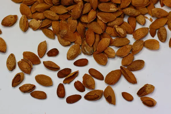 Kabukları beyaz bir yüzeye saçılmış çiğ bademler doğal dokularını ve toprak tonlarını sergiliyor. Sağlıklı yağ, protein ve vitamin içeren bademler kalp sağlığı ve beyin fonksiyonlarını destekler.