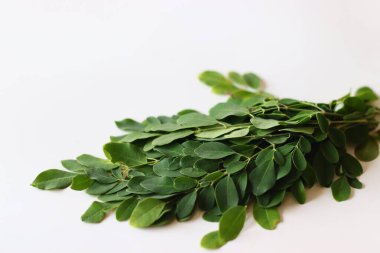 Temiz beyaz arka planda taze Moringa yaprakları ya da but yaprakları. Güney Hindistan, Ayurvedic ve vegan mutfağı için ideal. Beslenme, bitkisel sağlığın ve organik yaşamın sembolü.