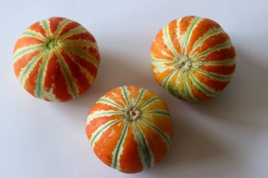 Tüm Kajari kavunu aynı zamanda Delhi kavunu olarak da bilinir koyu kahverengi kabuklu ve çarpıcı yeşil kaburgalı, açık arkaplanda sergilenmektedir. Punjab 'dan nadir bir miskkavun çeşidi, egzotik meyve görselleri için mükemmel.