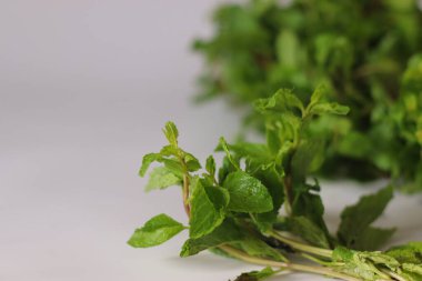 Canlı yeşil renkli taze nane ya da pudina yaprakları ve dokulu kenarları beyaz arka planda bir araya getirilmiş. Mutfak, bitkisel ve sağlık temalı stok fotoğrafçılığı için ideal.