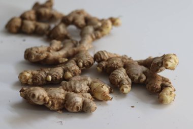 Doğal bir yığın içinde taze zencefil kökleri, kabuklu dokuları ve soyulmuş sarımsı derisi. Hint mutfağını ve şifasını temsil eder. Refah, özgünlük ve aşçılık mirası teması için idealdir.