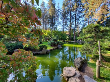 Huzurlu parkta göletli yapraklar dökülür.