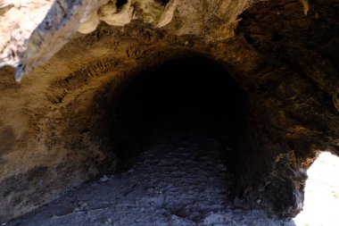 I took a few photos of this awesome hollowed out large driftwood tree trunk on the shoreline of South Toledo State Park in Louisiana. Check my gallery to see the inside and outside of it.