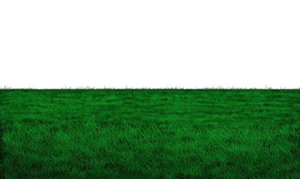 Realistic Green Grass Field White Background Vector — Stock Photo, Image