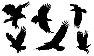Hayvanlar şahin kuşu sineği saldırıyor siluet beyaz arka plan vektörüne toplanıyor