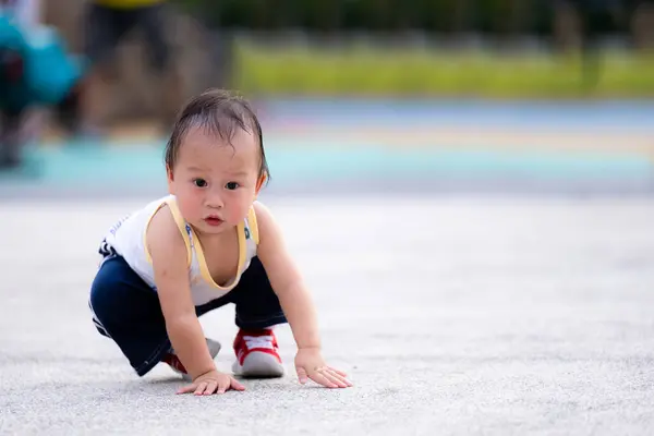 亚洲小男孩在公园里练习走路 托德勒摔倒在地上 坐在地上 儿子想再站起来 儿童健康运动 1岁婴儿的发育情况 — 图库照片