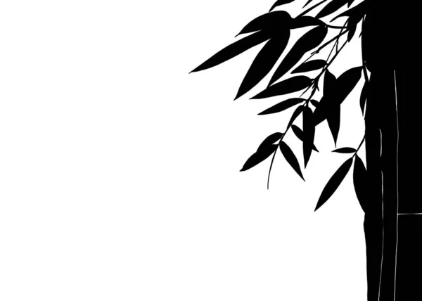 Bamboo Leaves Dan Black Bamboo Plants Shadows Isolated White Background — Stok Foto