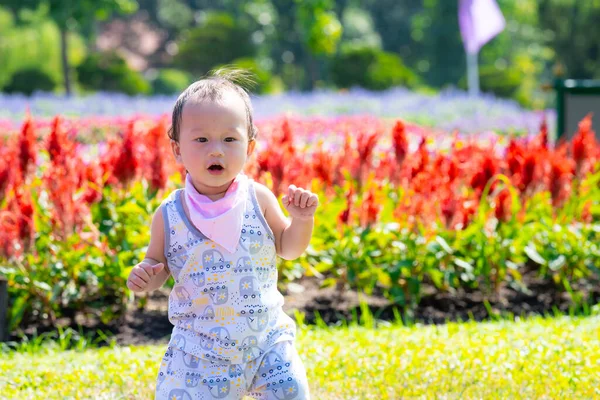 托德勒在充满活力的花园的第一步 在一个阳光灿烂的花园里 一个婴儿在五彩缤纷的花朵中迈出了试探性的步伐 象征着成长和新的开始 1岁的男孩 — 图库照片