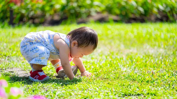 好奇的婴儿探索外面的草地 在阳光灿烂的日子里 一个穿着顽皮的保险杠和红鞋子的小孩弯下腰来 摸着草地 探索大自然的纹理和色彩 1岁儿童 — 图库照片