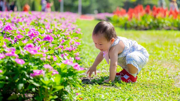 婴儿的第一个花园冒险游戏在粉红色的小河中 好奇的托德勒伸出手去触摸大地 感受着一个充满活力的花园的质感和色彩 1岁的亚洲儿童 — 图库照片