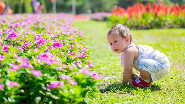 Curious Baby Crawling Vibrant Flower Park Exploring Lush Garden Sunny Stock Picture