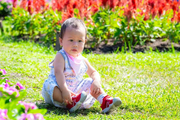 Toddler Enjoying Flower Garden Curious Baby Sitting Grass Surrounded Vibrant Royalty Free Stock Images