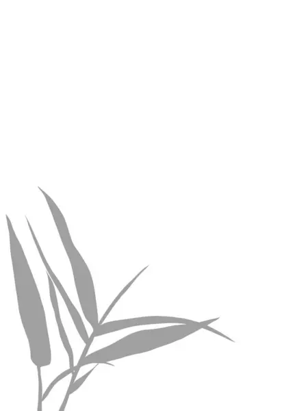 Grey Silhouette Bamboo Leaves Isolated White Background Dalam Bahasa Inggris — Stok Foto