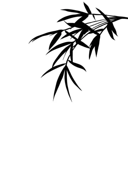 Black Bamboo leaves silhouette. Shadows of branches olive on isolated white background.